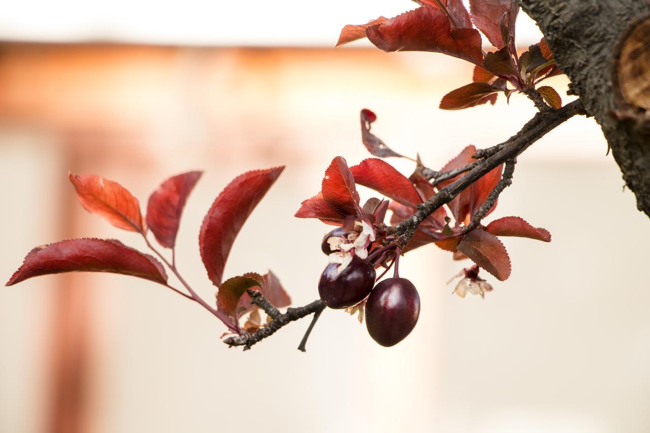 Qhini Hotel Boutique Λα Πας Εξωτερικό φωτογραφία